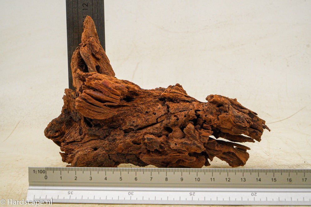 Driftwood S110 - Hardscape.nl