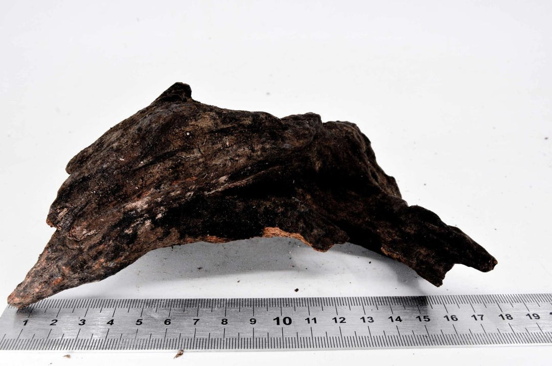 Driftwood S23 - Hardscape.nl