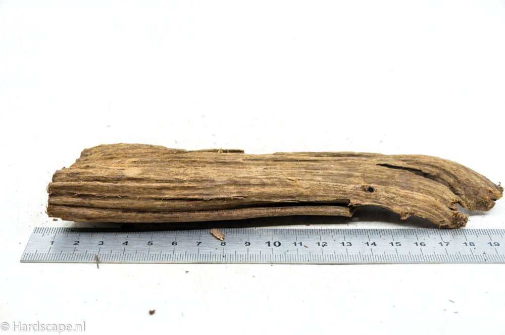 Driftwood S71 - Hardscape.nl