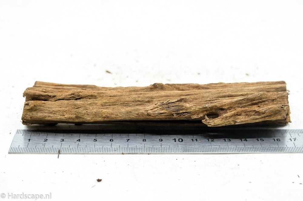 Driftwood S73 - Hardscape.nl