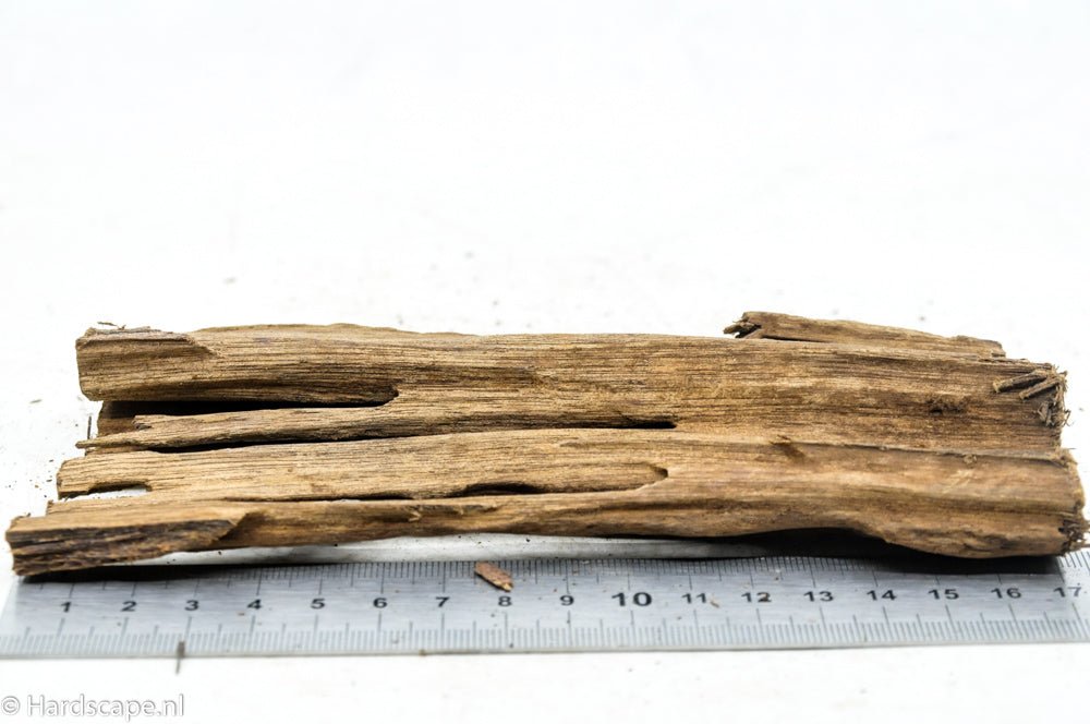 Driftwood S73 - Hardscape.nl