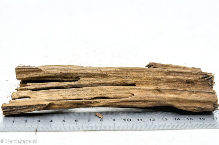 Driftwood S73 - Hardscape.nl