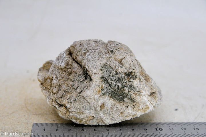 Elephant Skin Rock S101 - Hardscape.nl