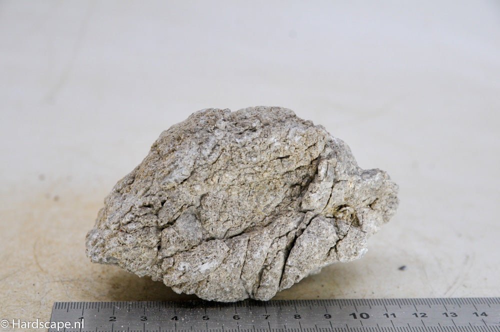 Elephant Skin Rock S101 - Hardscape.nl