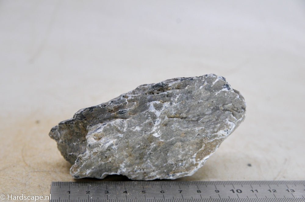 Elephant Skin Rock S94 - Hardscape.nl