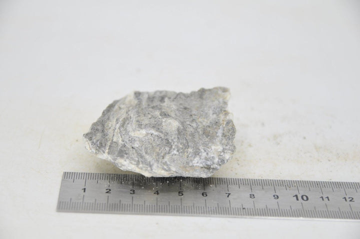 Glimmer Wood Rock S11 - Hardscape.nl
