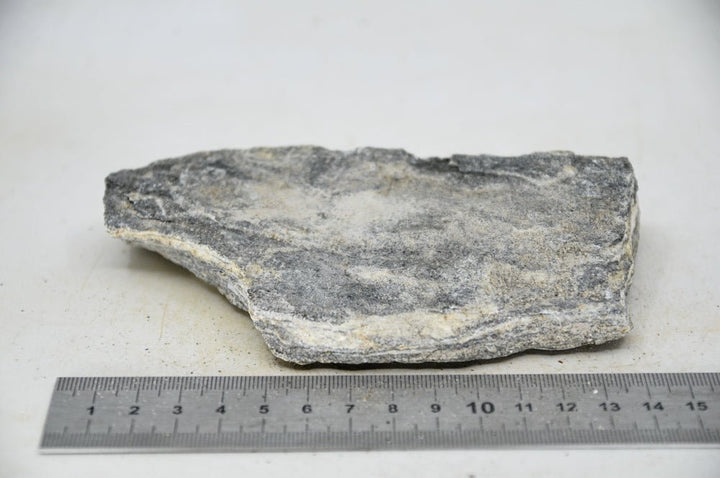 Glimmer Wood Rock S21 - Hardscape.nl