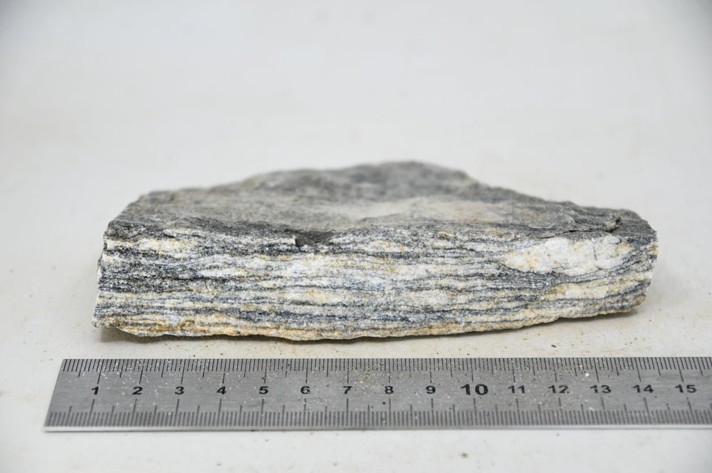 Glimmer Wood Rock S21 - Hardscape.nl