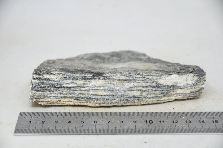 Glimmer Wood Rock S21 - Hardscape.nl