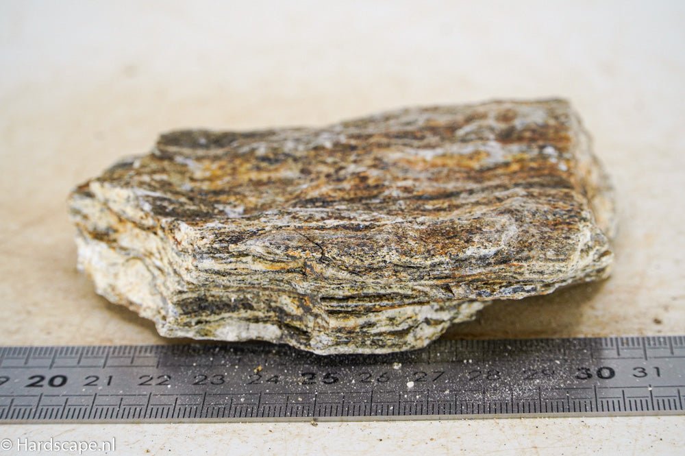 Glimmer Wood Rock S32 - Hardscape.nl