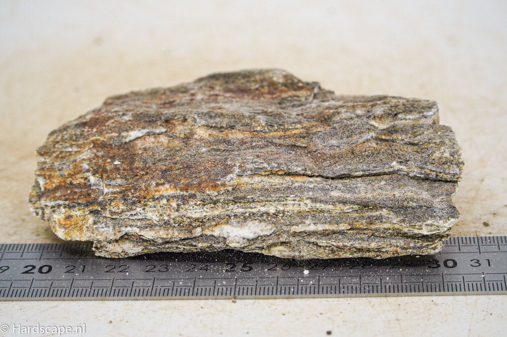 Glimmer Wood Rock S32 - Hardscape.nl