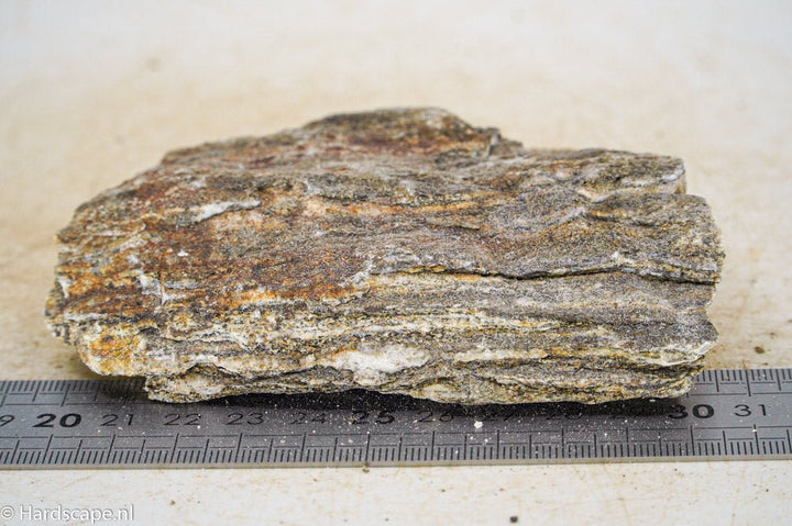 Glimmer Wood Rock S32 - Hardscape.nl