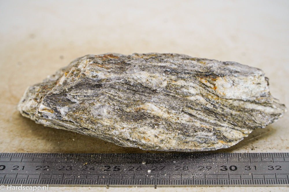 Glimmer Wood Rock S33 - Hardscape.nl