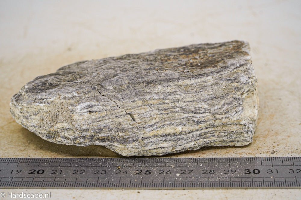 Glimmer Wood Rock S34 - Hardscape.nl
