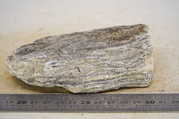 Glimmer Wood Rock S34 - Hardscape.nl