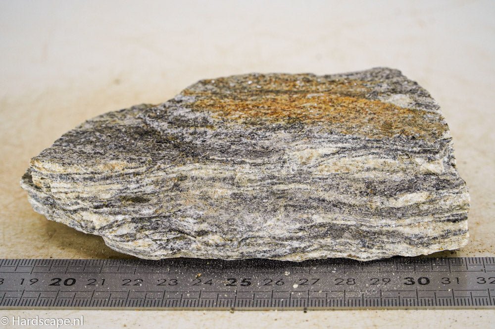 Glimmer Wood Rock S34 - Hardscape.nl