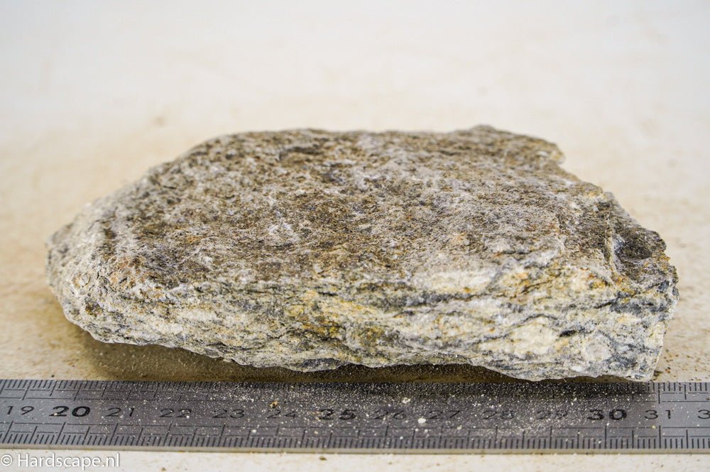 Glimmer Wood Rock S38 - Hardscape.nl