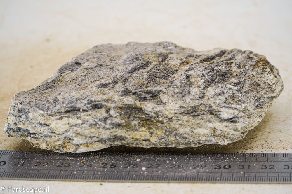 Glimmer Wood Rock S38 - Hardscape.nl