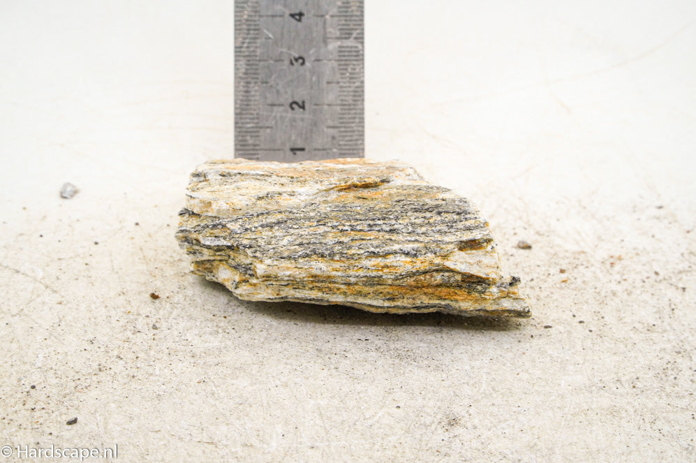 Glimmer Wood Rock S41 - Hardscape.nl
