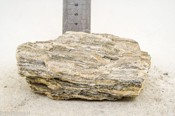 Glimmer Wood Rock S45 - Hardscape.nl