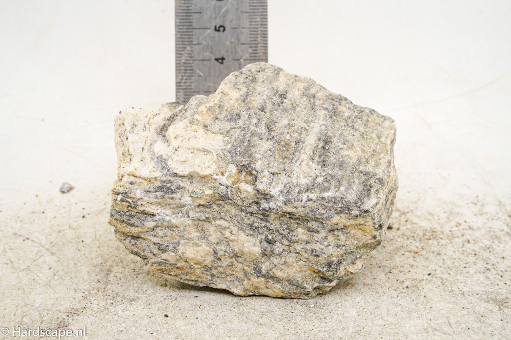 Glimmer Wood Rock S48 - Hardscape.nl