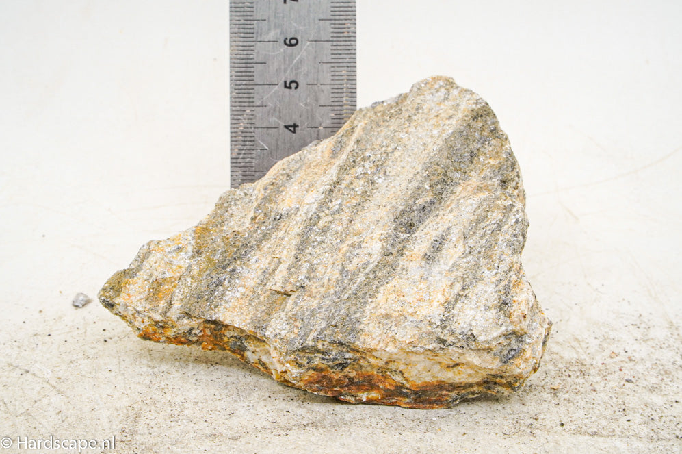 Glimmer Wood Rock S49 - Hardscape.nl