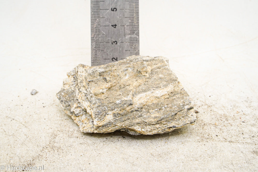 Glimmer Wood Rock S50 - Hardscape.nl