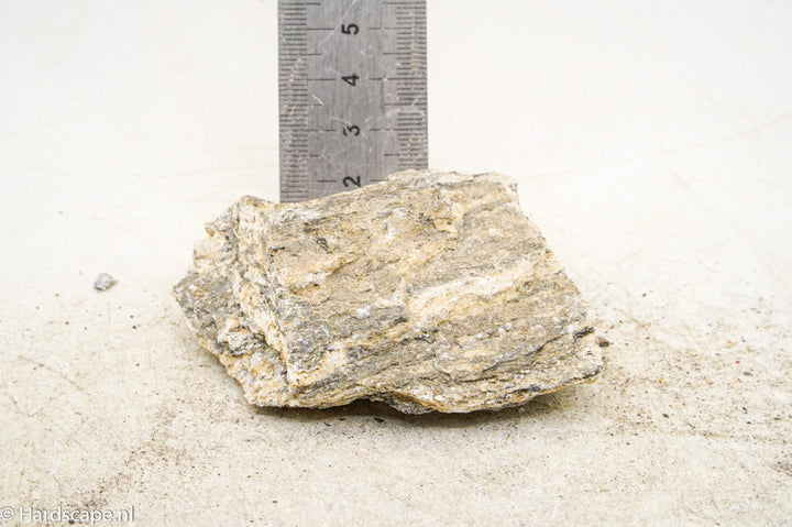 Glimmer Wood Rock S50 - Hardscape.nl