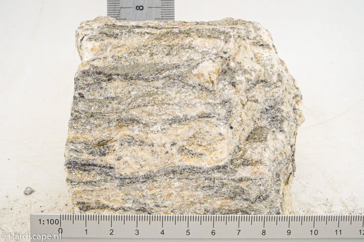 Glimmer Wood Rock S51 - Hardscape.nl