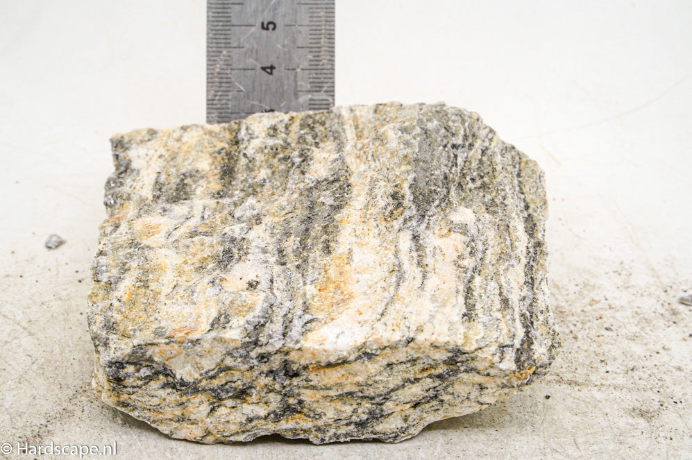 Glimmer Wood Rock S51 - Hardscape.nl