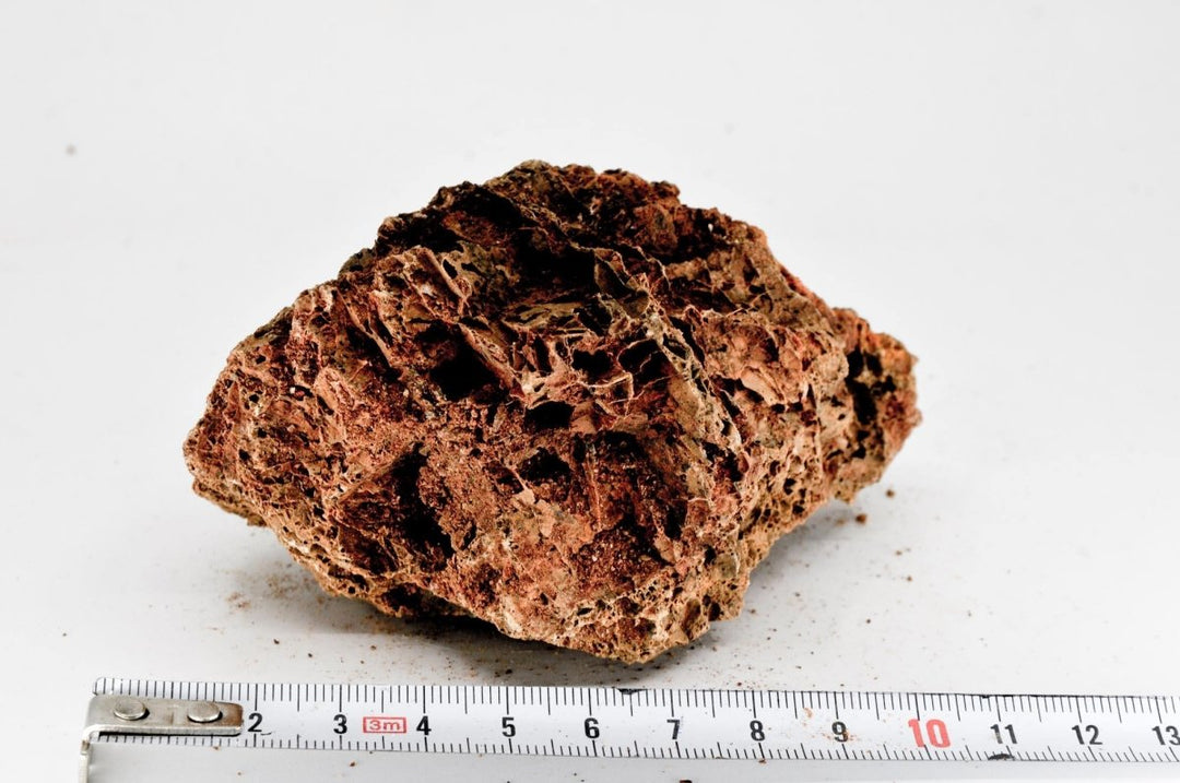 Maple Leaf Rock S27 - Hardscape.nl