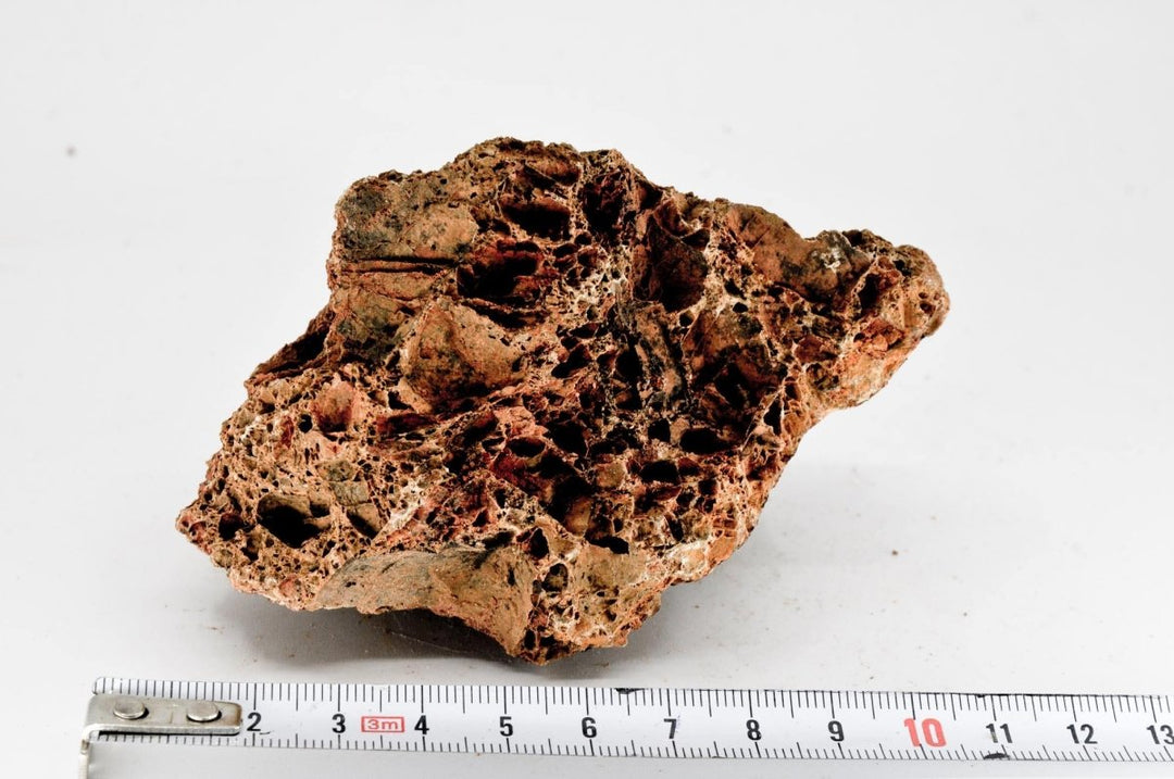 Maple Leaf Rock S27 - Hardscape.nl