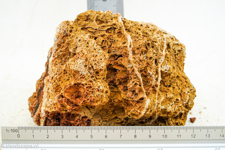 Maple Leaf Rock S69 - Hardscape.nl