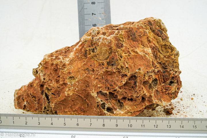Maple Leaf Rock S75 - Hardscape.nl