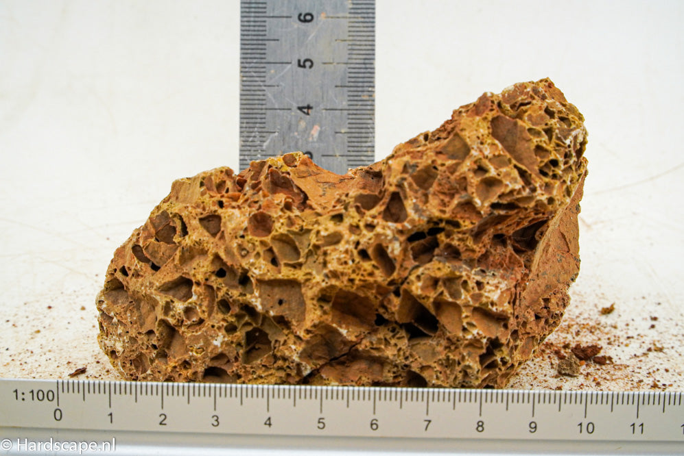 Maple Leaf Rock S77 - Hardscape.nl