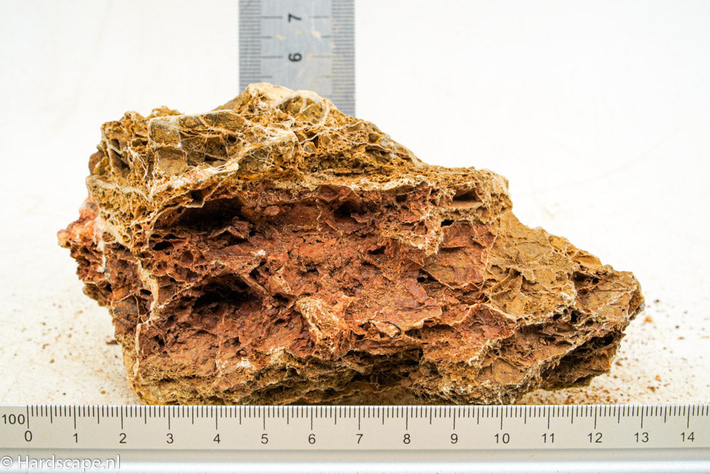Maple Leaf Rock S79 - Hardscape.nl
