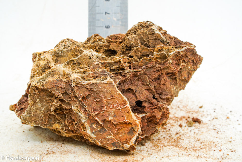 Maple Leaf Rock S79 - Hardscape.nl