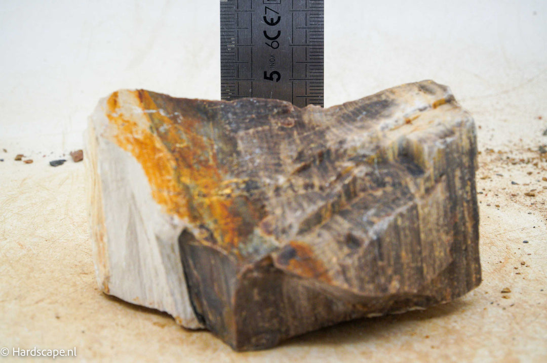 Petrified Wood S101 - Hardscape.nl
