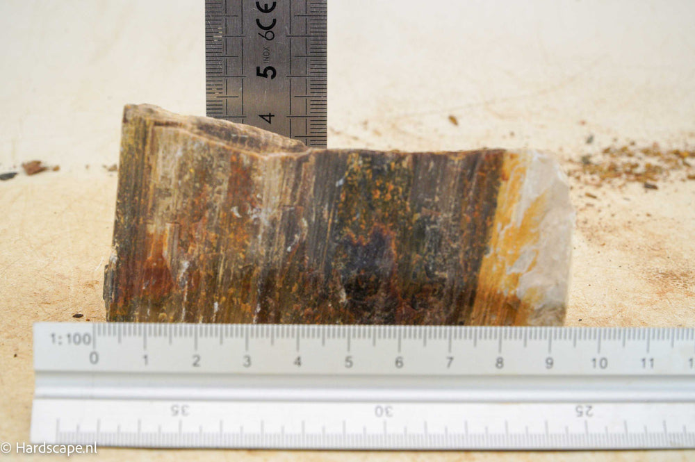 Petrified Wood S101 - Hardscape.nl