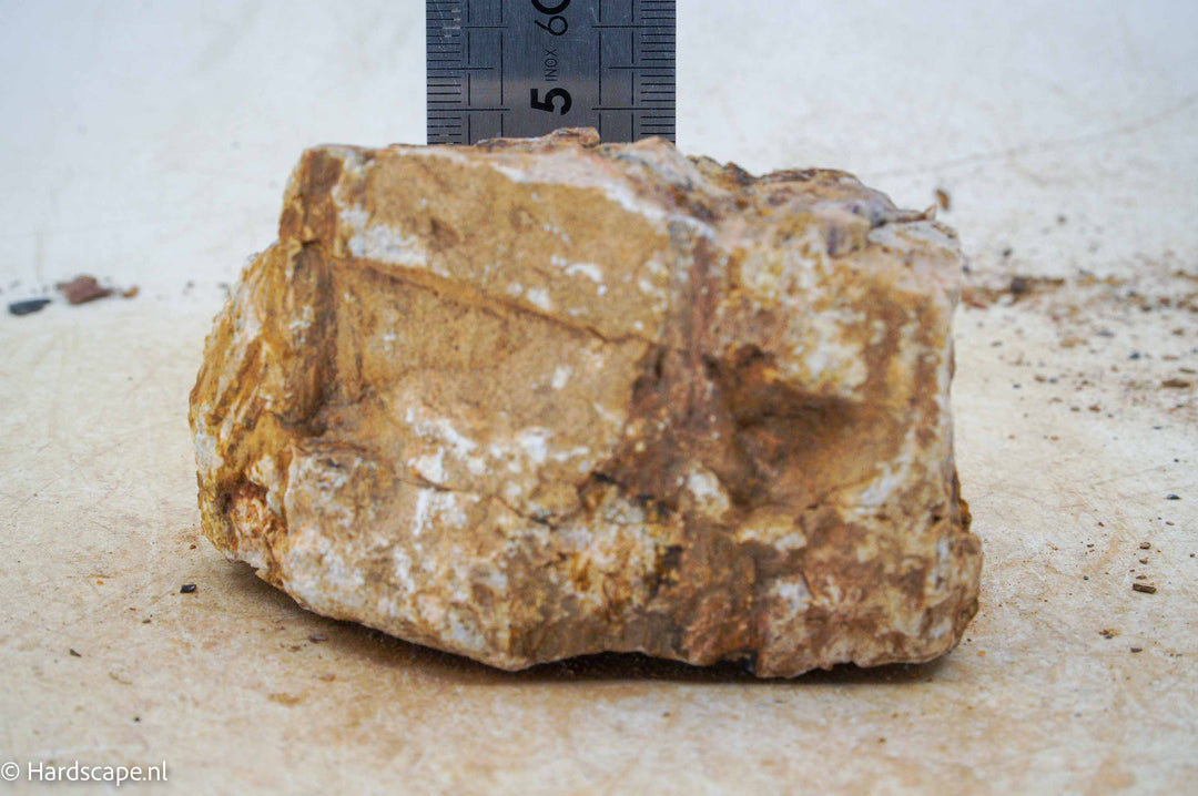 Petrified Wood S104 - Hardscape.nl
