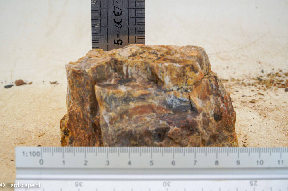 Petrified Wood S104 - Hardscape.nl