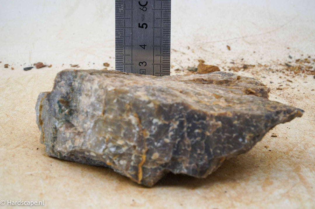 Petrified Wood S105 - Hardscape.nl