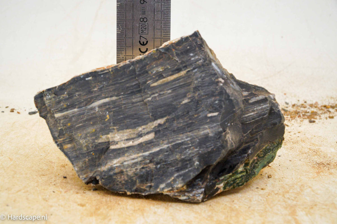 Petrified Wood S107 - Hardscape.nl