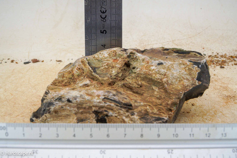 Petrified Wood S107 - Hardscape.nl