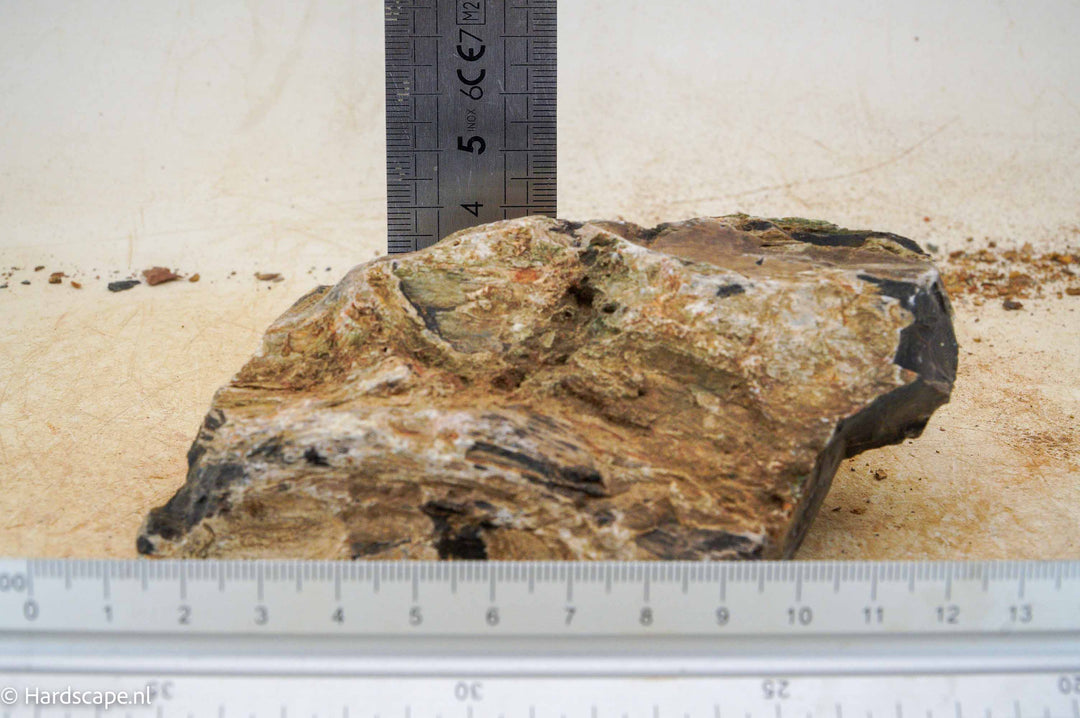 Petrified Wood S107 - Hardscape.nl