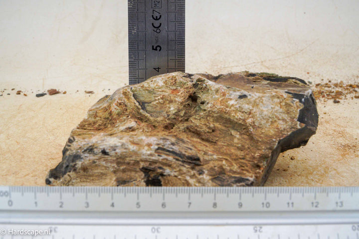 Petrified Wood S107 - Hardscape.nl
