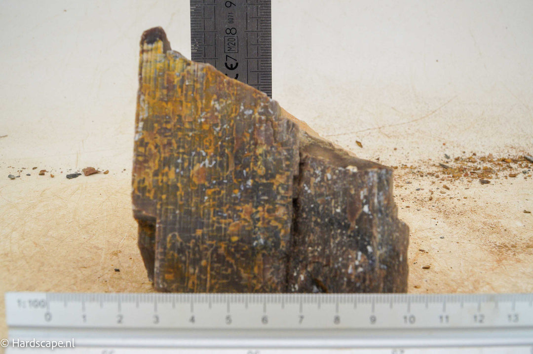 Petrified Wood S109 - Hardscape.nl