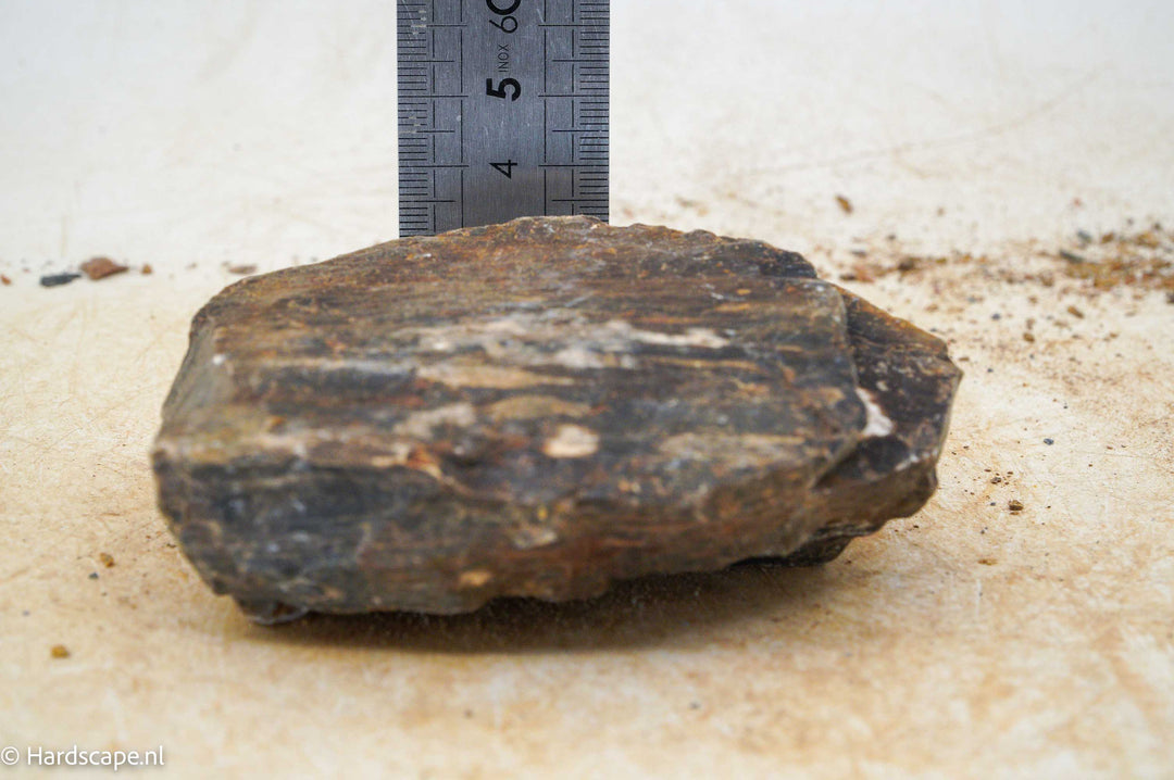 Petrified Wood S113 - Hardscape.nl