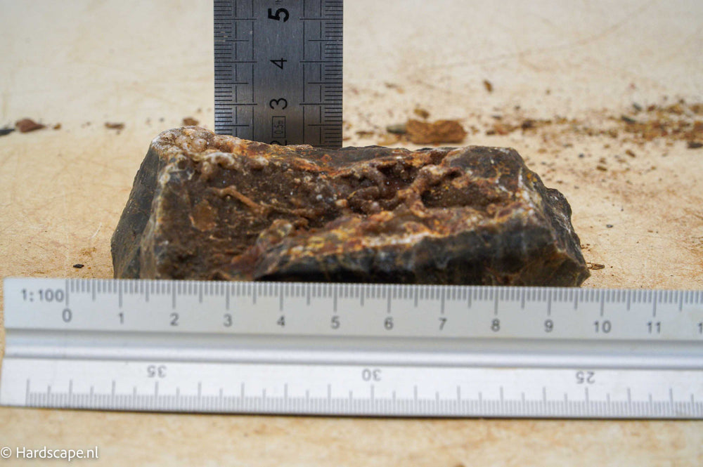 Petrified Wood S113 - Hardscape.nl