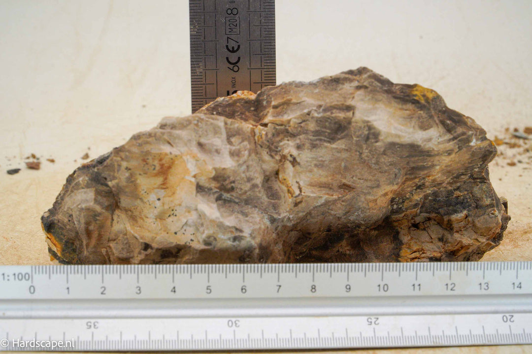 Petrified Wood S88 - Hardscape.nl